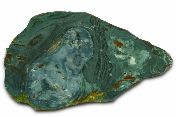 Gary Green Jasper (Larsonite) Bog Wood Section - Oregon #377934